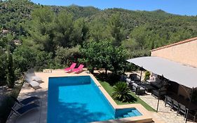 La vie de cocagne en Provence